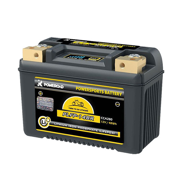 Daisy on the Ohoopee